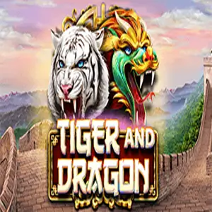 dragon vs tiger